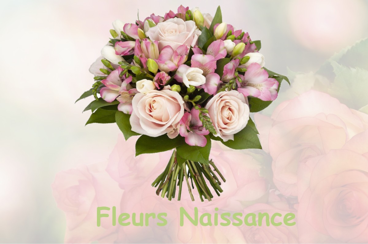 fleurs naissance SAUVIGNY-LES-BOIS