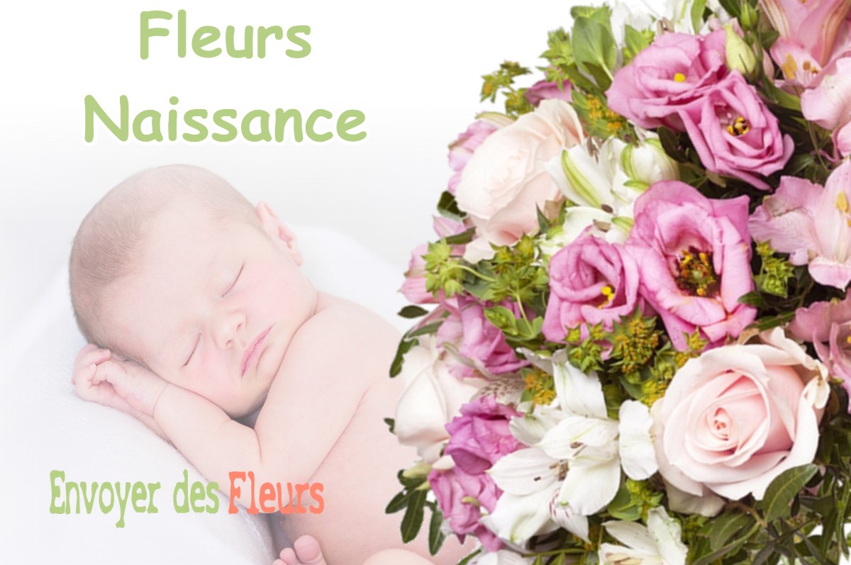 lIVRAISON FLEURS NAISSANCE à SAUVIGNY-LES-BOIS