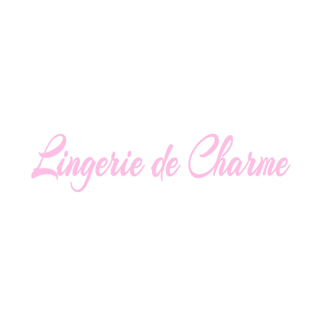 LINGERIE DE CHARME SAUVIGNY-LES-BOIS